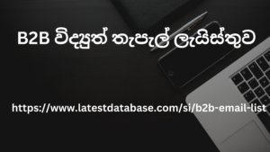 B2B විද්_යුත් තැපැල් ලැයිස්තුව