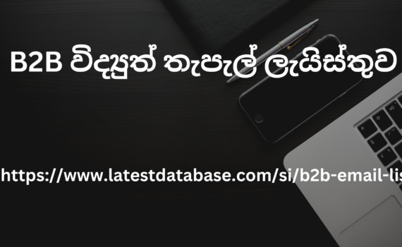 B2B විද්_යුත් තැපැල් ලැයිස්තුව