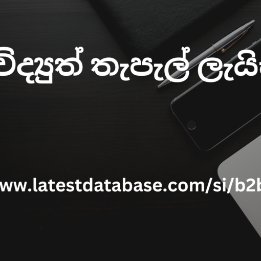 B2B විද්_යුත් තැපැල් ලැයිස්තුව